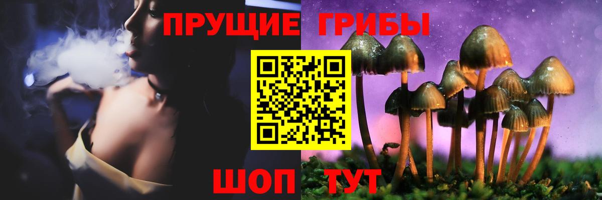 Псилоцибиновые грибы Psilocybe  Вход с VPN  Пенза  Псилоцибиновые грибы мухоморы 